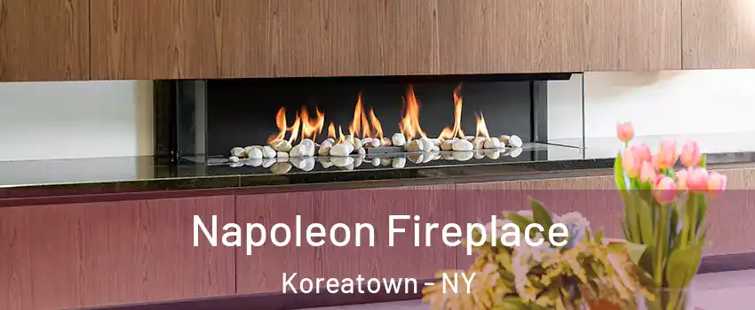 Napoleon Fireplace Koreatown - NY
