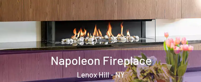 Napoleon Fireplace Lenox Hill - NY