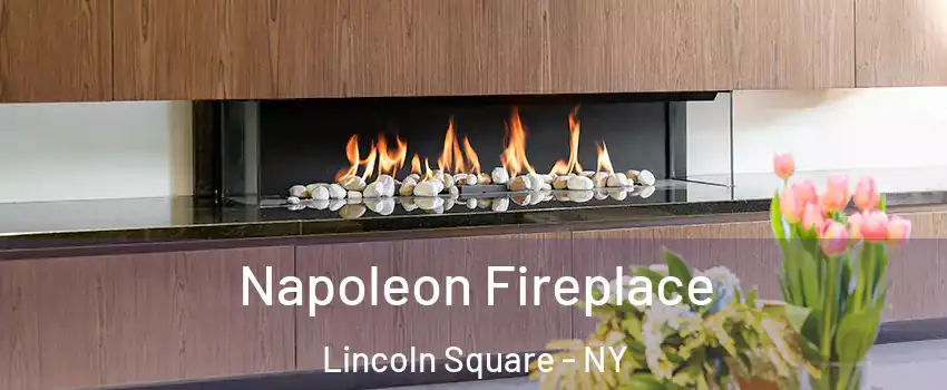 Napoleon Fireplace Lincoln Square - NY