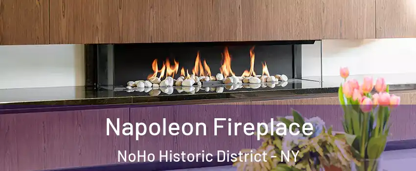 Napoleon Fireplace NoHo Historic District - NY