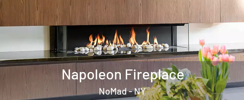 Napoleon Fireplace NoMad - NY