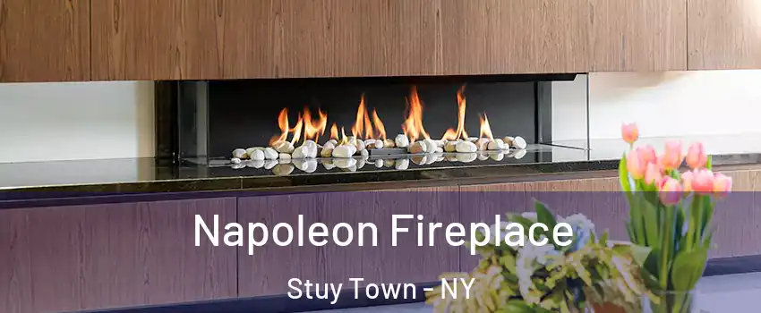 Napoleon Fireplace Stuy Town - NY