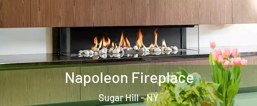 Napoleon Fireplace Sugar Hill - NY