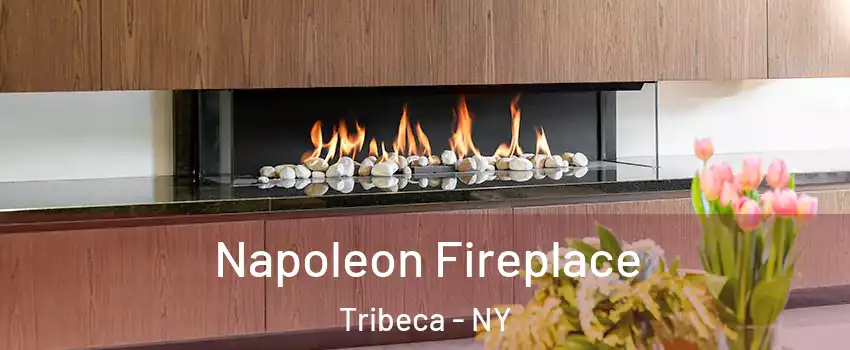 Napoleon Fireplace Tribeca - NY