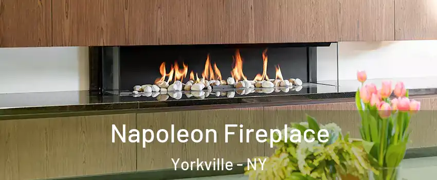 Napoleon Fireplace Yorkville - NY
