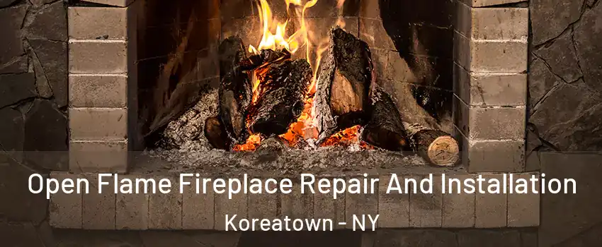 Open Flame Fireplace Repair And Installation Koreatown - NY