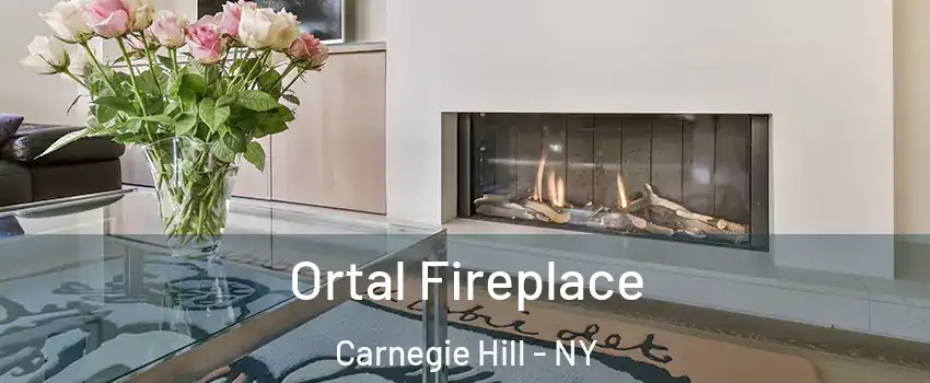 Ortal Fireplace Carnegie Hill - NY
