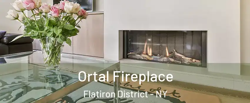Ortal Fireplace Flatiron District - NY