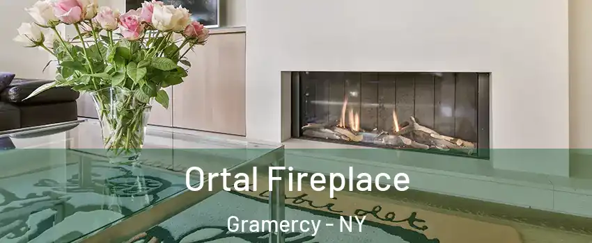 Ortal Fireplace Gramercy - NY