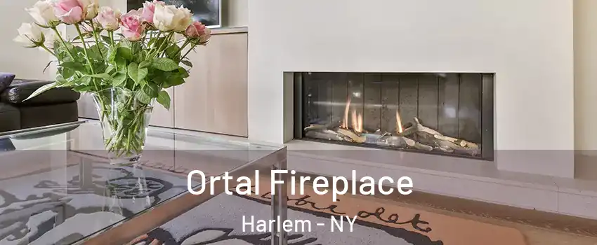 Ortal Fireplace Harlem - NY