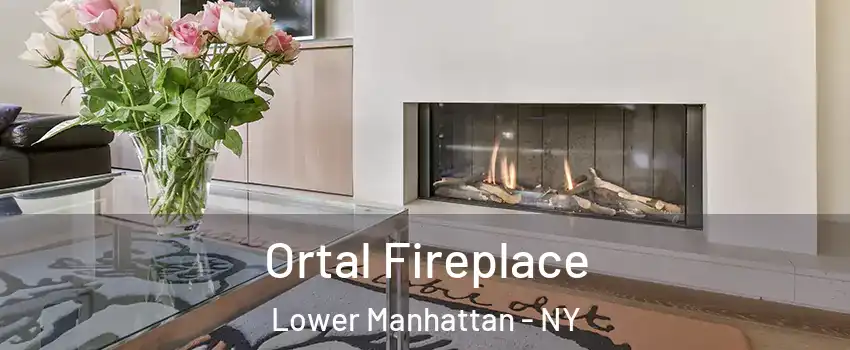 Ortal Fireplace Lower Manhattan - NY