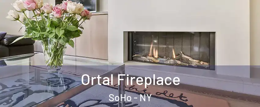 Ortal Fireplace SoHo - NY