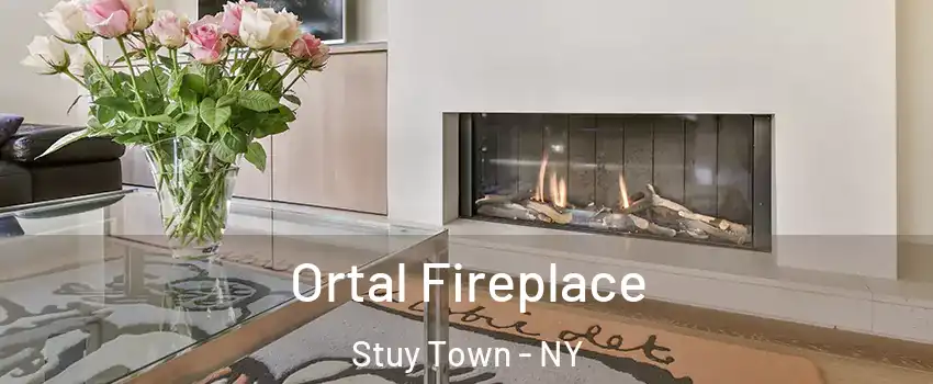Ortal Fireplace Stuy Town - NY