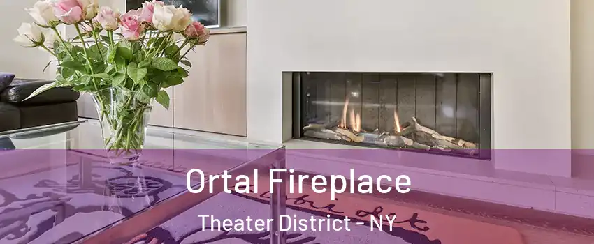 Ortal Fireplace Theater District - NY