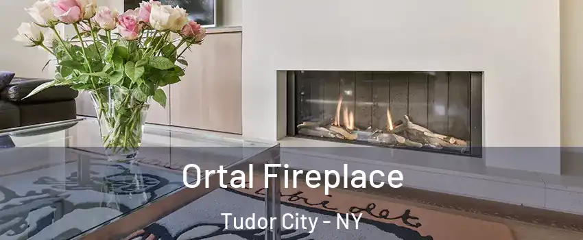 Ortal Fireplace Tudor City - NY