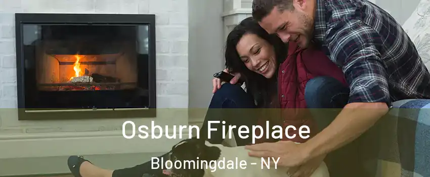 Osburn Fireplace Bloomingdale - NY