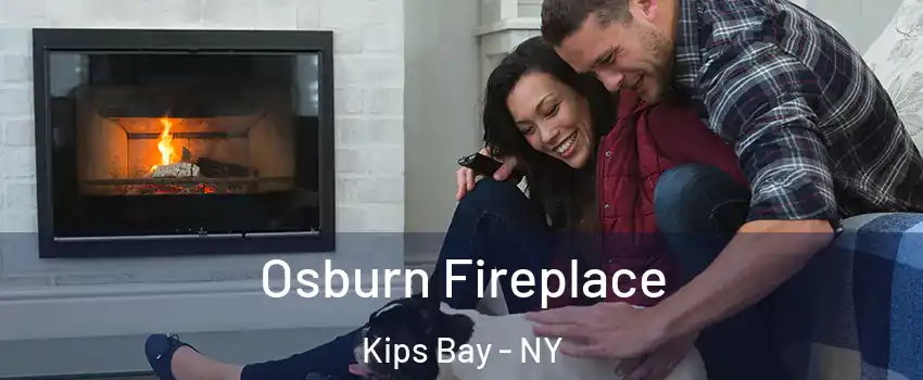 Osburn Fireplace Kips Bay - NY