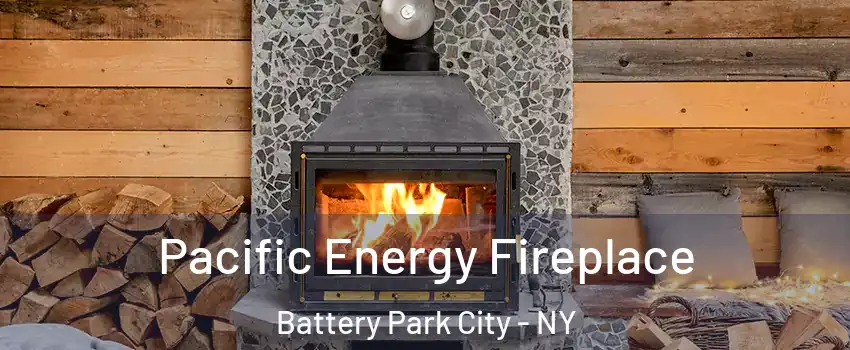 Pacific Energy Fireplace Battery Park City - NY