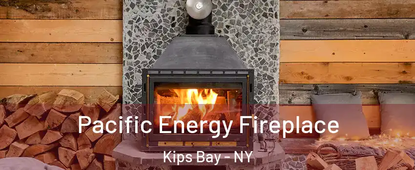 Pacific Energy Fireplace Kips Bay - NY