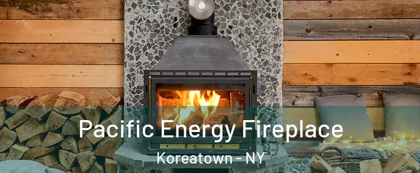 Pacific Energy Fireplace Koreatown - NY