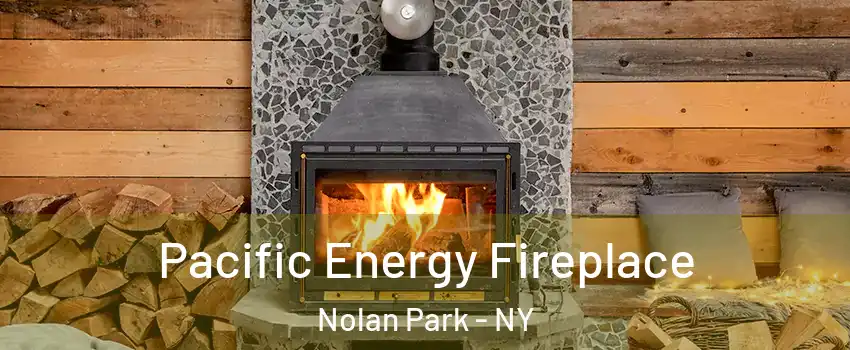 Pacific Energy Fireplace Nolan Park - NY