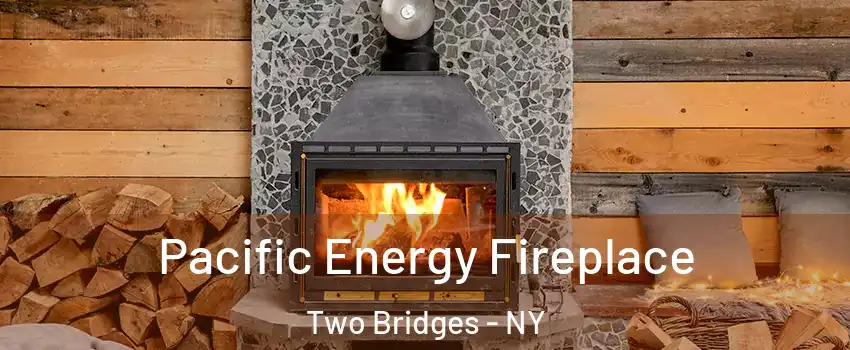 Pacific Energy Fireplace Two Bridges - NY