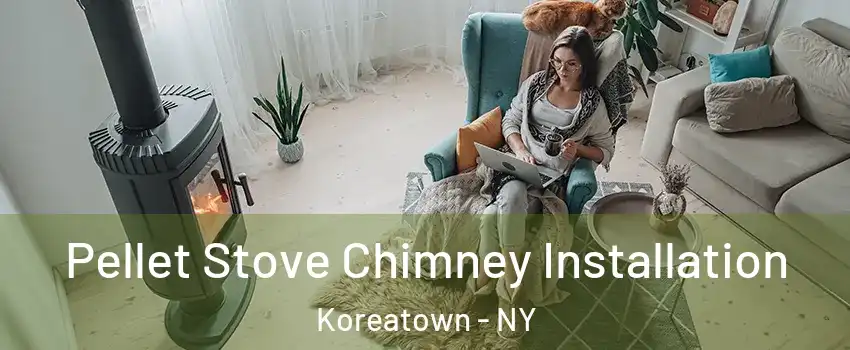 Pellet Stove Chimney Installation Koreatown - NY