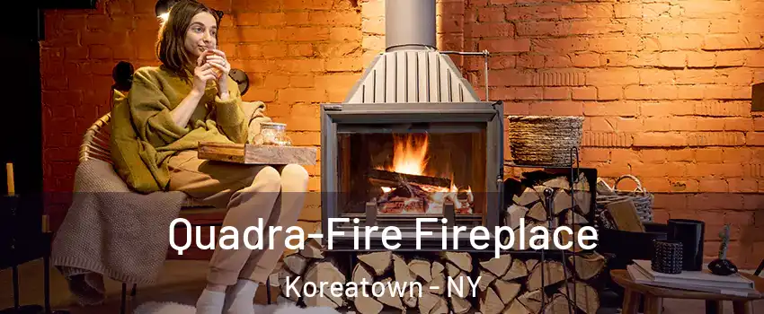 Quadra-Fire Fireplace Koreatown - NY