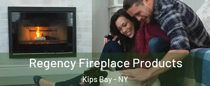 Regency Fireplace Products Kips Bay - NY