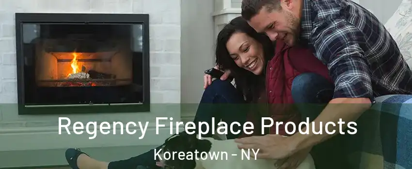 Regency Fireplace Products Koreatown - NY