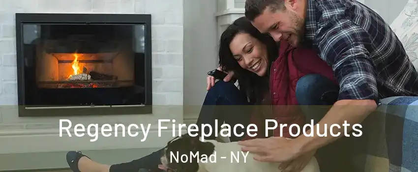 Regency Fireplace Products NoMad - NY