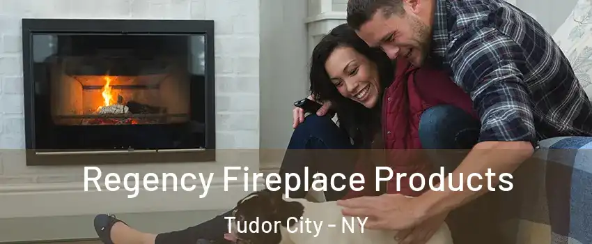 Regency Fireplace Products Tudor City - NY