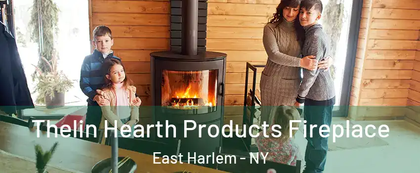 Thelin Hearth Products Fireplace East Harlem - NY