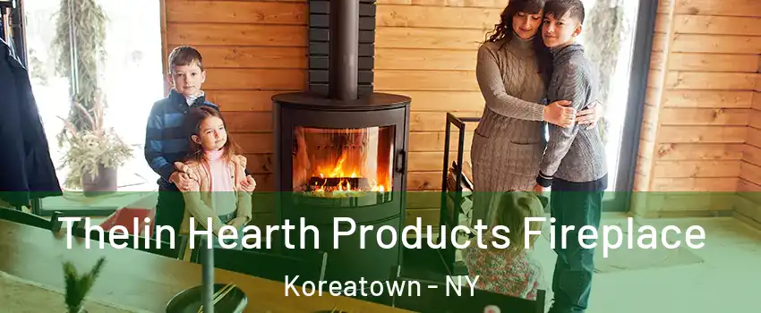 Thelin Hearth Products Fireplace Koreatown - NY