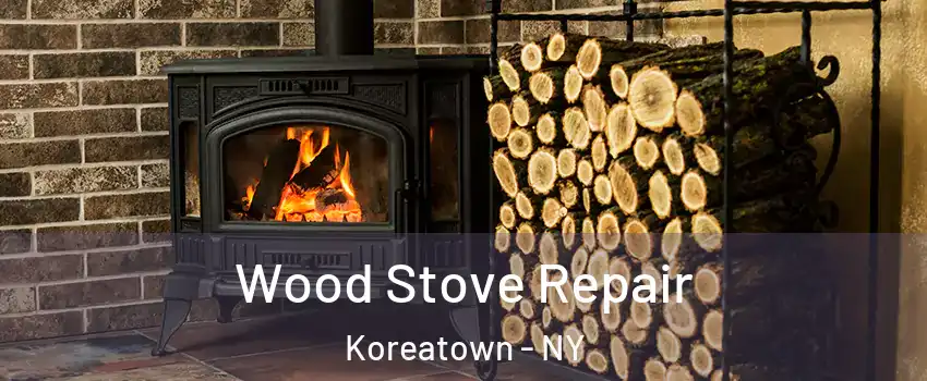 Wood Stove Repair Koreatown - NY